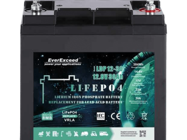 EverExceed LDP 12-30